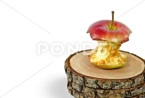 Rotting apple core Stock Photos