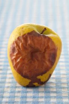 Rotting Apple Stock Photos