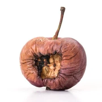 Rotting Apple Stock Photos
