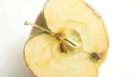 Rotting apple: Timelapse of a halved apple during  27 days time. Stock Footage 189154375
