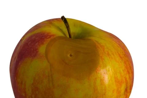 Rotting apple on a white background. Stock Photos