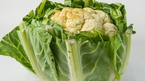 Rotting cauliflower 스톡 동영상 22605892