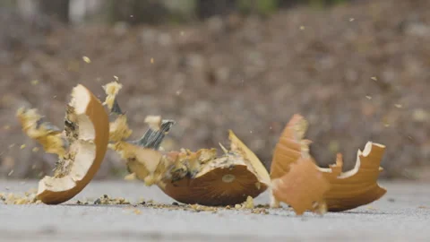 Rotting Halloween pumpkin is smashed on driveway Video stock 316568989