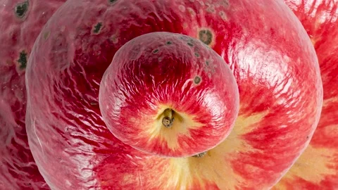 Rotting old red apple seamless loop zooming. Abstract background with ugly fruit Stock Footage 221933776