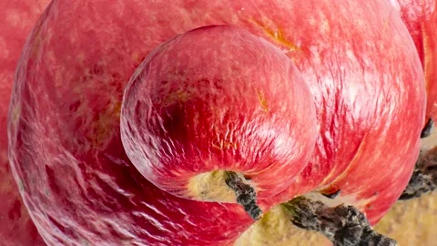 Rotting old red apple seamless loop zooming. Abstract background with ugly fruit Stock Footage 221935272