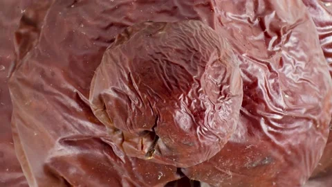 Rotting old red apple seamless loop zooming. Abstract background with ugly fruit Stock Footage 221935875