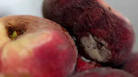 Rotting Peaches on Kitchen Table Attracting Small Fruit Flies Stock-Footage 306021136
