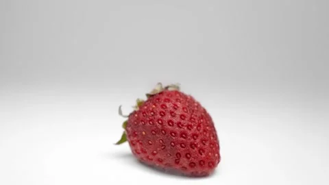 Rotting Strawberry Timelapse on White Background Food Decay Process Vidéo 335188635