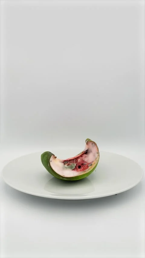 Rotting watermelon timelapse. 4 weeks in 30 seconds. Food spoilage Stock Footage 310180147