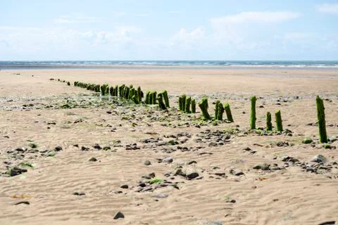 Rotting wave breakers Stock Photos