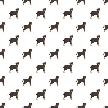 Rottweiler dog cartoon seamless pattern background Stock Illustration