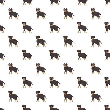 Rottweiler dog pattern illustration for pets and animals Stock Illustration