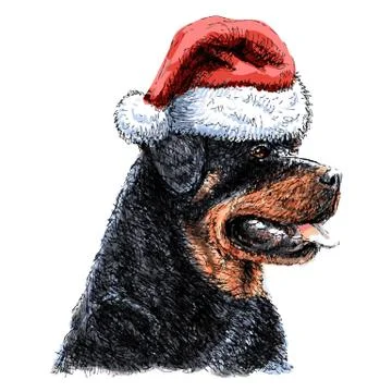 Rottweiler Stock Illustration