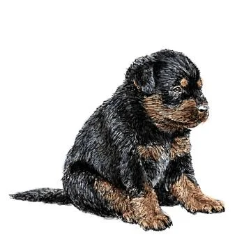Rottweiler 스톡 일러스트