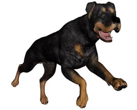 Rottweiller dog running - 3D render Stock Illustration