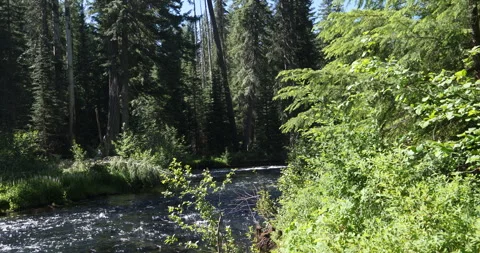 Rouge River Oregon 動画素材 284179607