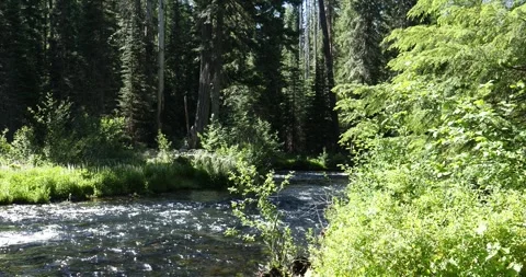 Rouge River Rolling 動画素材 284182546