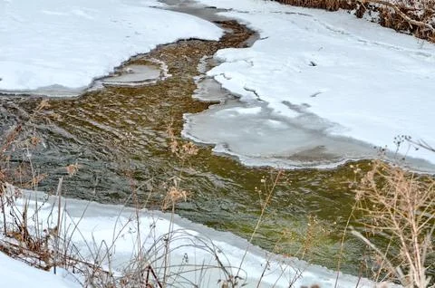 Rouge River in winter Foto stock