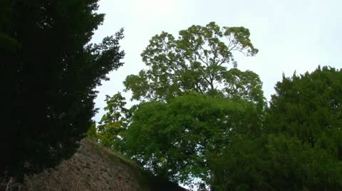 Rougemont Gardens 動画素材 18046918