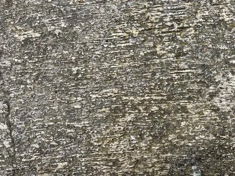 Rough Aged Concrete Surface with Weathered Texture Stock Photos