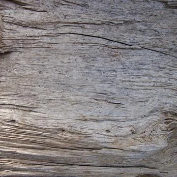 Rough aged withered dead wood texture Stock Photos