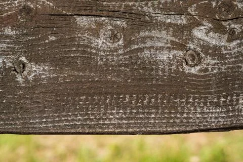 Rough and rustic dark brown wood plank with weathered and natural faded surface Stock Photos