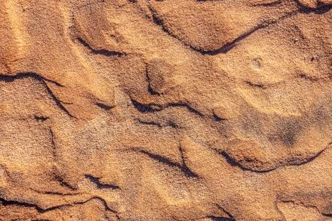 Rough and textured ground surface of dry desert sand, organic earthy tones, Stock Photos