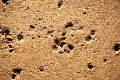 Rough Beige Wall Texture with Cracks and Indentations Stock Photos