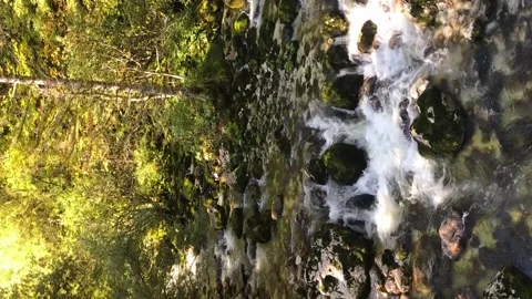 Rough Bohinj river in Alp mountains with blue sky in Slovenia in autumn travel Video stock 153817536