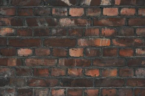 Rough brick wall close up Stock Photos