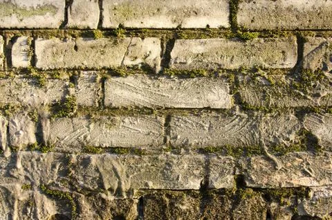 Rough brick wall with moss Foto stock