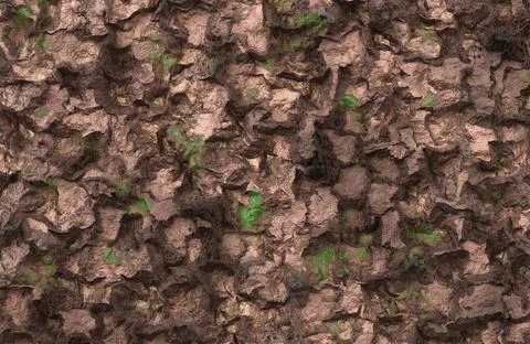 Rough brown rocky surface texture with deep crevices and patches of green moss. Stock Illustration