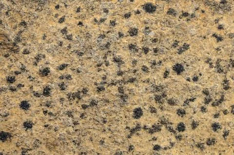 Rough brown stone texture Stock Photos