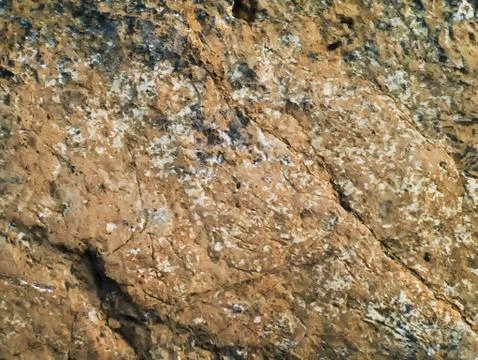 Rough brown stone texture 写真素材