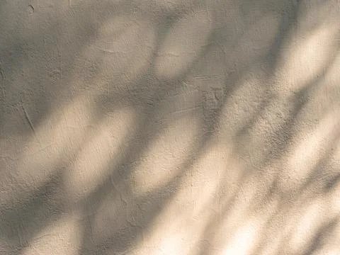 Rough building biege wall texture with tree shadows Stock Photos