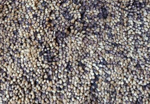 Rough carpet full frame, brown Stock Photos