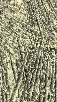 Rough cement stone texture background (2) Stock Photos