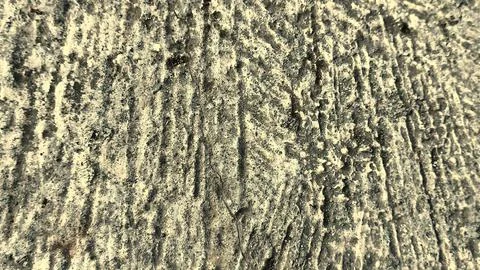 Rough cement stone texture background (1) Stock Photos