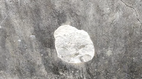 Rough Cement Surface With Prominent Irregular White Patch Detail Stock Footage 309842117