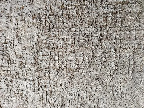 Rough cement wall with a dense, irregular grid pattern Stock Photos