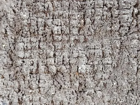 Rough cement wall with dense, irregular grid-like texture Stock Photos
