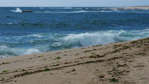 Rough, choppy waves breaking on sandy beach with seaweed. Stock Footage 109261315
