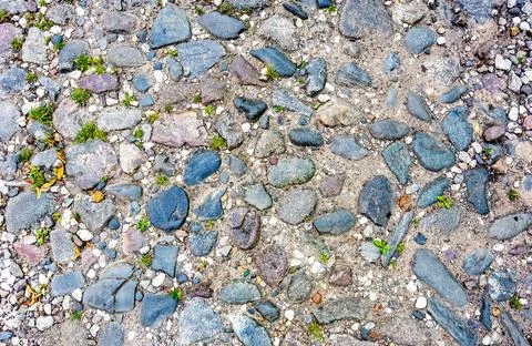 Rough cobblestone pavement on the road as creative background texture. Natu.. Stock Photos