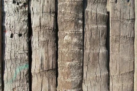 Rough coconut wood pattern background.Background for making banners. Stock Photos