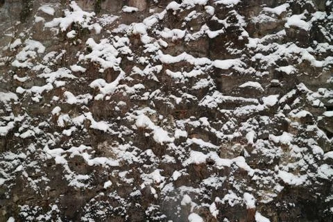 Rough cold stone wall in snow background for design. Foto stock