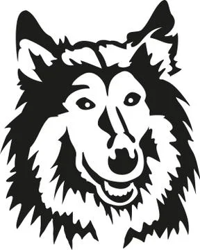 Rough collie head Stock Illustration