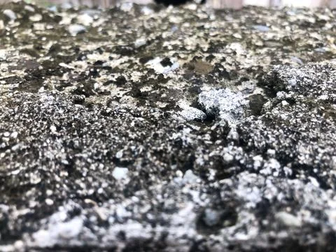 Rough concrete surface covered in moss Stock Photos