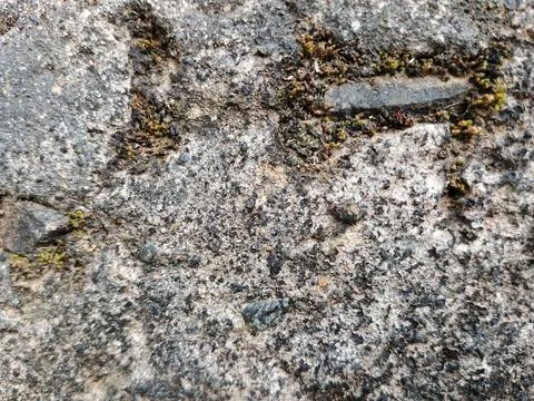 Rough Concrete Surface Texture with Small Stones and Moss Foto stock