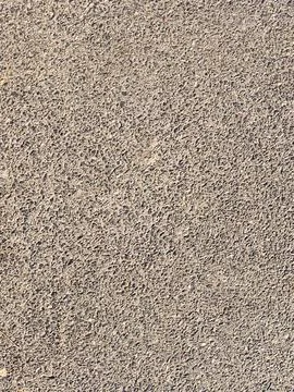 Rough concrete texture background Фото