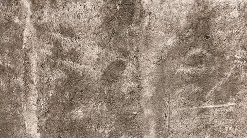 Rough concrete wall surface with natural marks and stains in a close-up sho.. Stock-Fotos